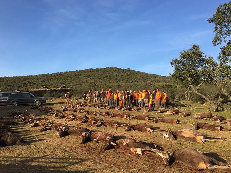 Quebradas201805