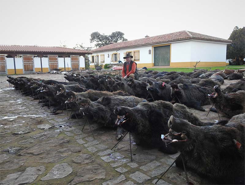 RiberaAlta2201802