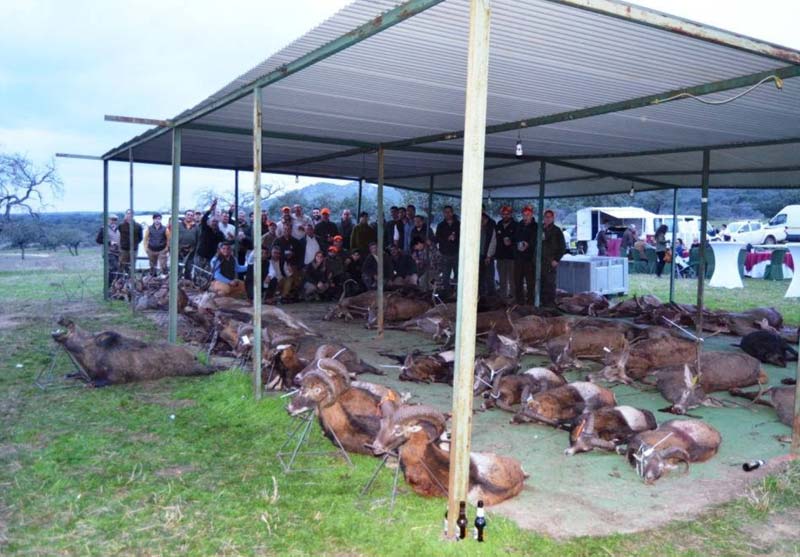 RinconAzagala201806