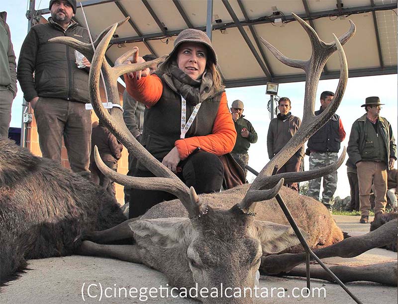 Sabanilla201901