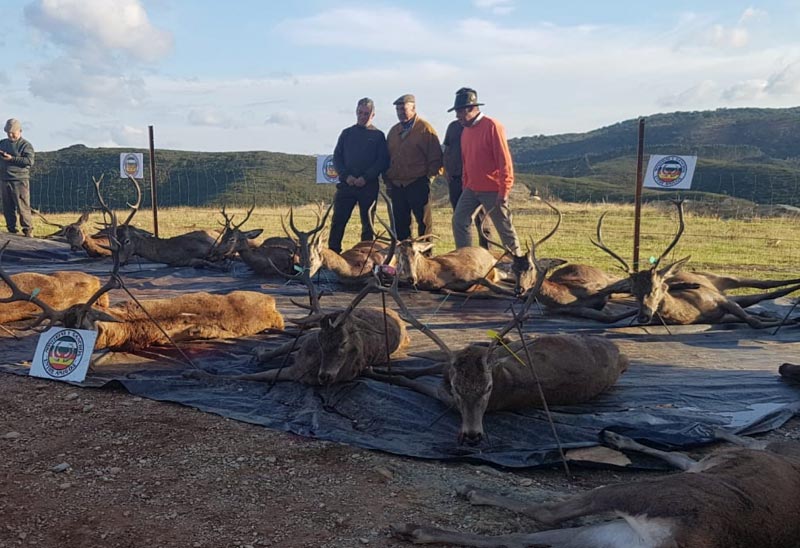 SierraGaucho201802