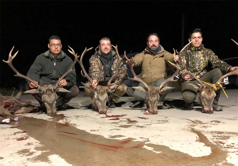 Resultado Montería Sierra del Viso 2019 Fernando Bautista S C