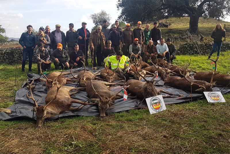 SolanaGanchos201801