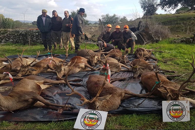 Resultado Montería La Solana 2018 Entre Amigos