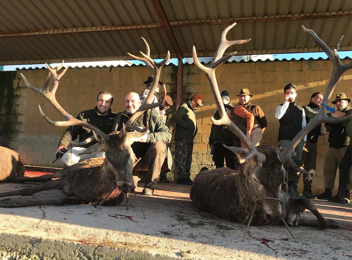 Resultado Montería Tiracalzas 2019 Ext. de Monterias