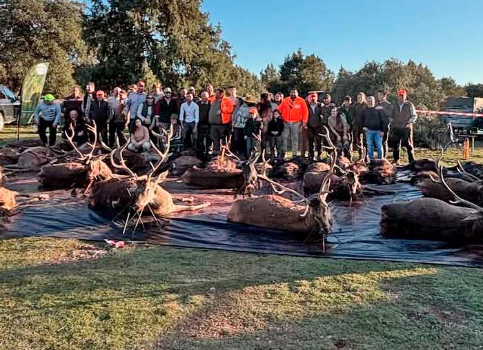 Chaqueta Caza Blaser