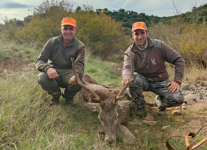 Chaqueta Caza Blaser