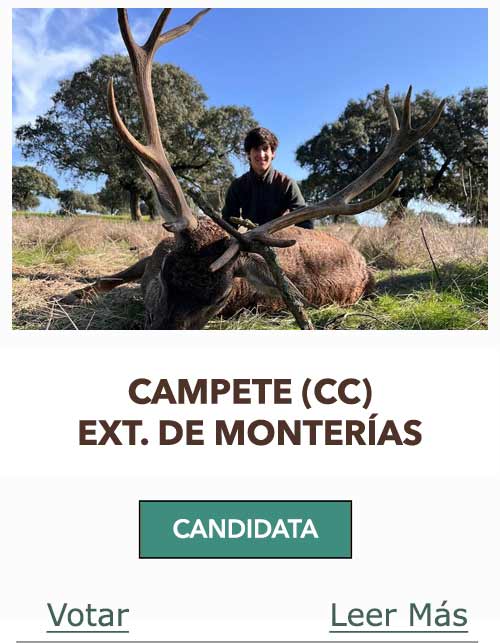 CandidatasPueblaEstellez Chaves