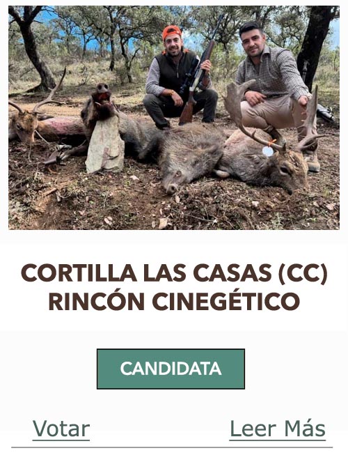 CandidatasPueblaEstellez Chaves