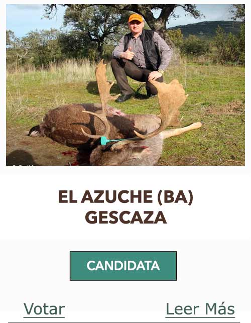 CandidatasPueblaEstellez Chaves