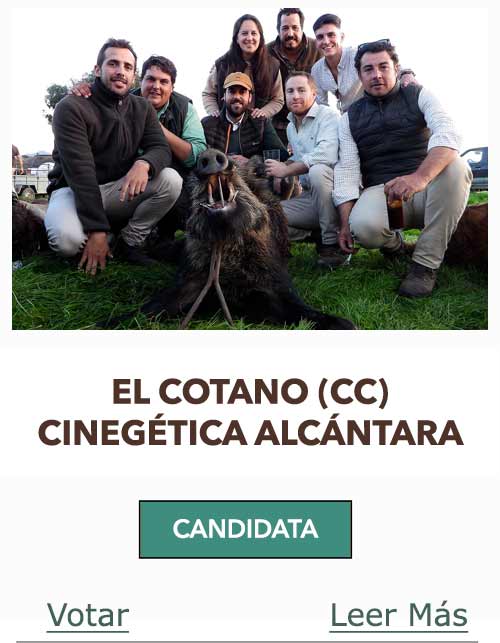 CandidatasPueblaEstellez Chaves