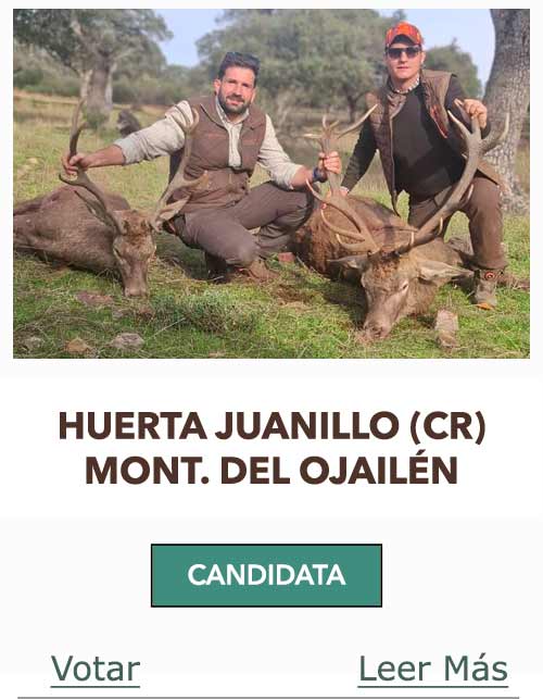 CandidatasPueblaEstellez Chaves