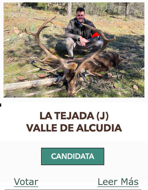 Candidatas 2024 2025 AB LA TEJADA