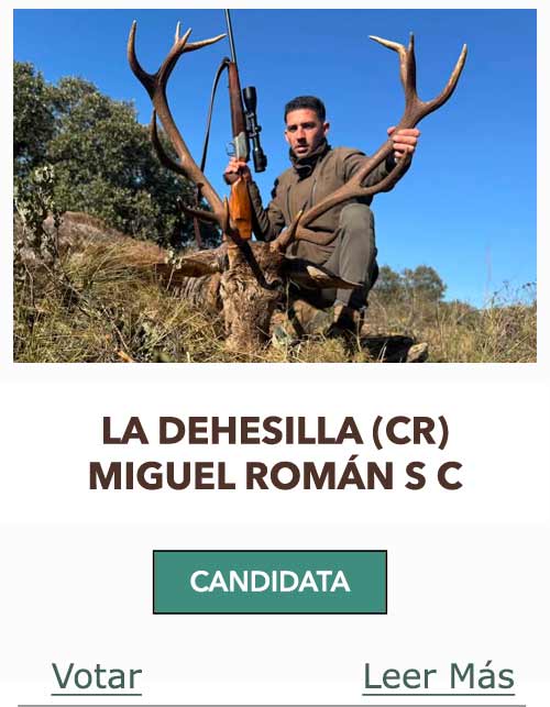 CandidatasPueblaEstellez Chaves