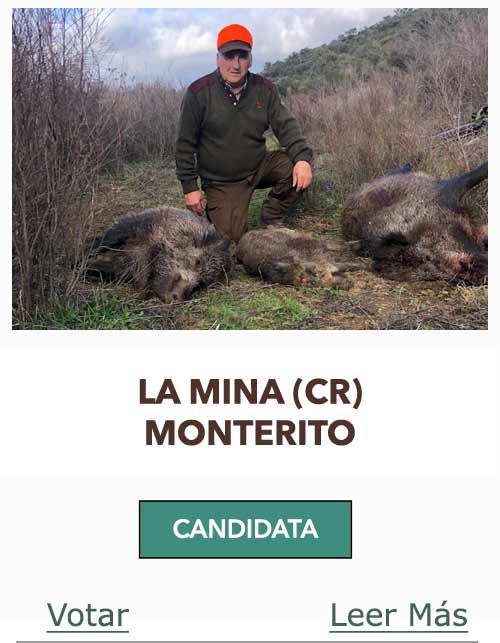 CandidatasPueblaEstellez Chaves