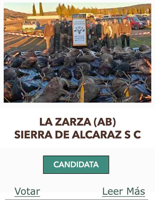 Candidatas 2024 2025 AB LA TEJADA