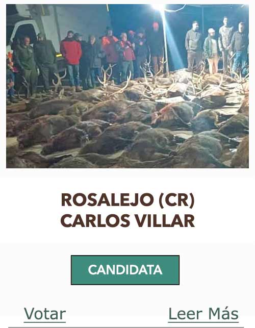 CandidatasPueblaEstellez Chaves