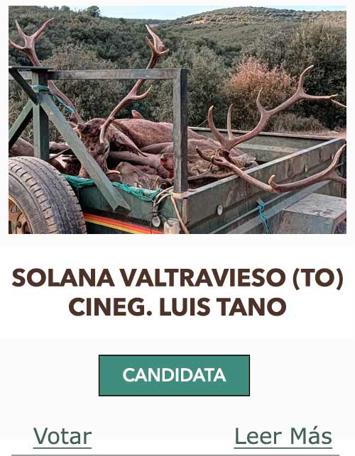 CandidatasPueblaEstellez Chaves