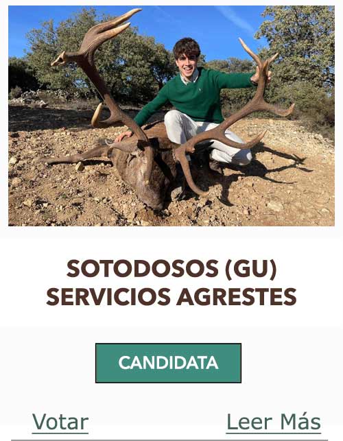 CandidatasPueblaEstellez Chaves