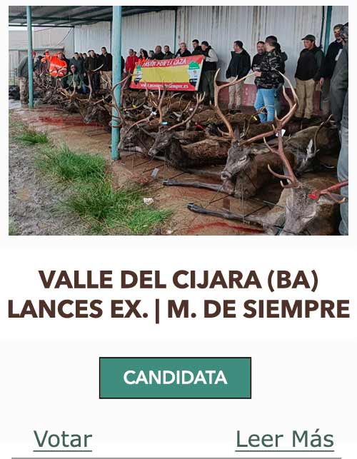 CandidatasPueblaEstellez Chaves