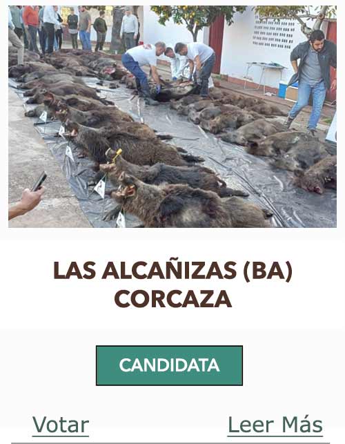 CandidatasPueblaEstellez Chaves