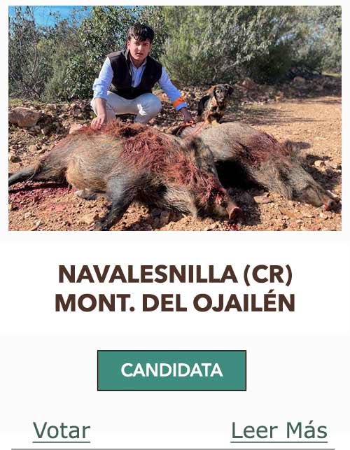 CandidatasPueblaEstellez Chaves