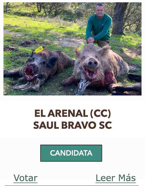 CandidatasPueblaEstellez Chaves