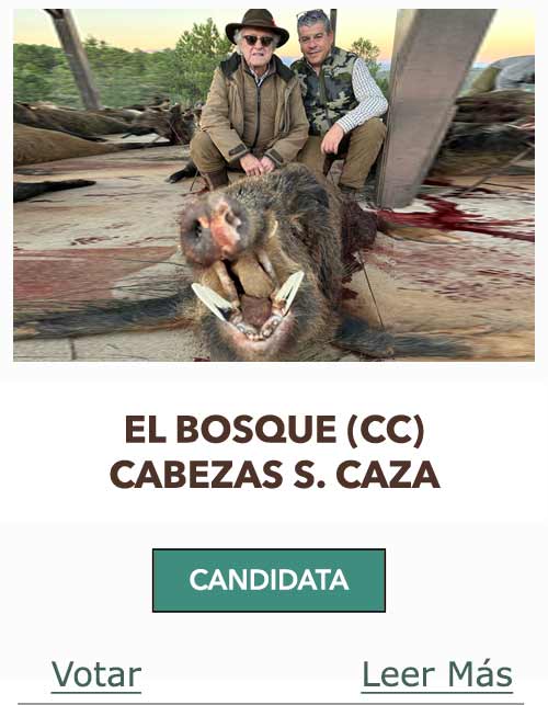 CandidatasPueblaEstellez Chaves