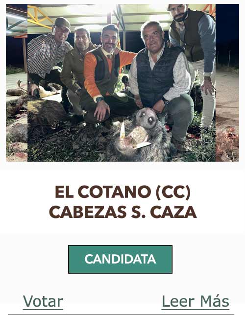 CandidatasPueblaEstellez Chaves