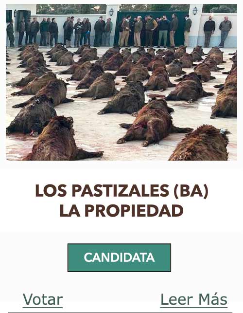 CandidatasPueblaEstellez Chaves