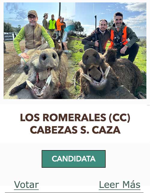 CandidatasPueblaEstellez Chaves