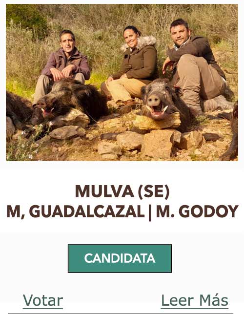 CandidatasPueblaEstellez Chaves