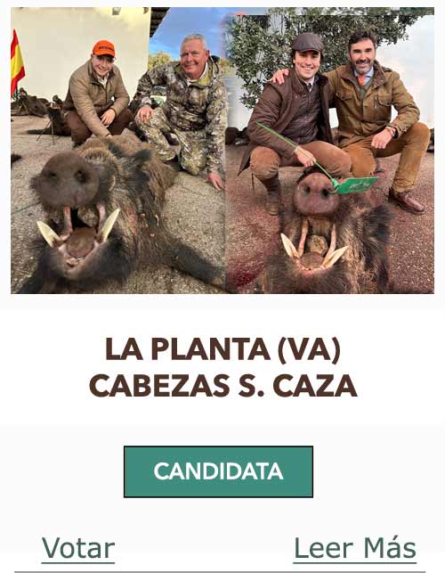 CandidatasPueblaEstellez Chaves