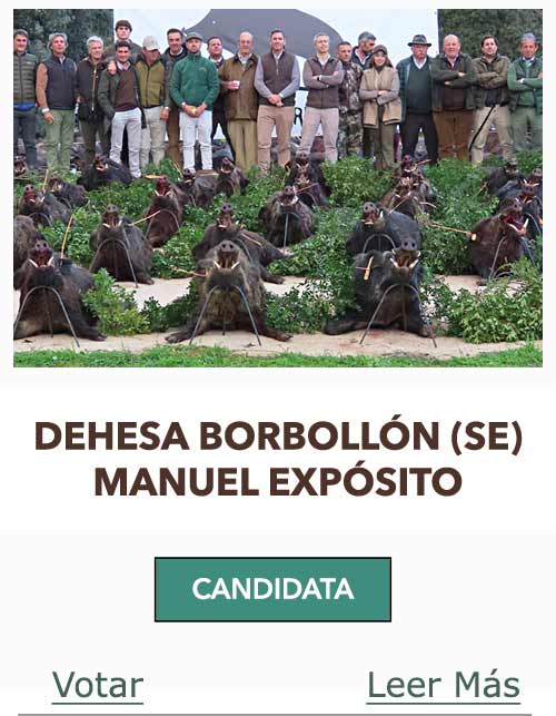 CandidatasPueblaEstellez Chaves