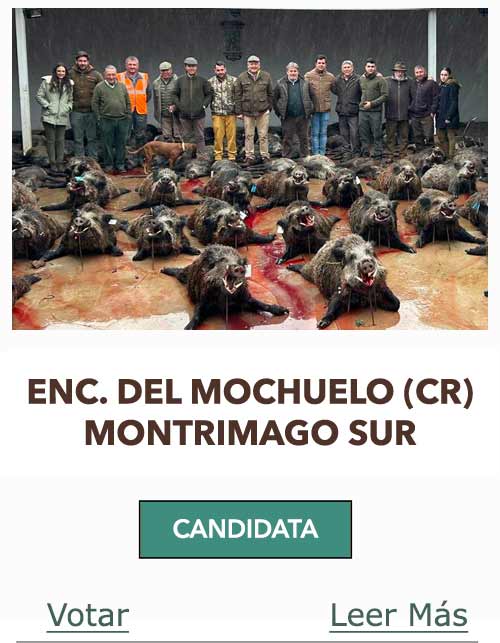 CandidatasPueblaEstellez Chaves