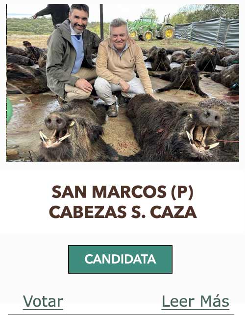 CandidatasPueblaEstellez Chaves