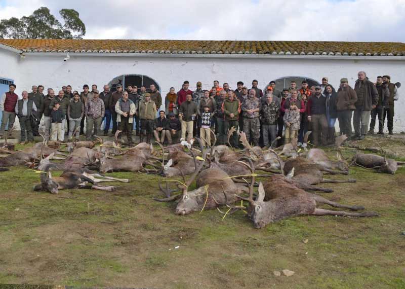 Chaqueta Caza Blaser