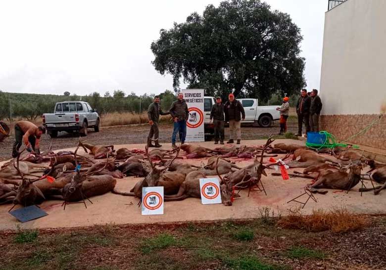 Chaqueta Caza Blaser