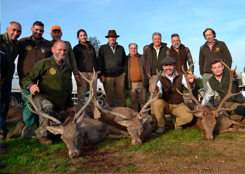 Chaqueta Caza Blaser