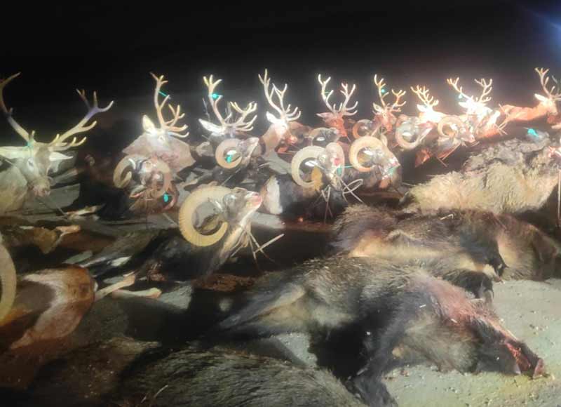 Dehesa Canizares 2024 03