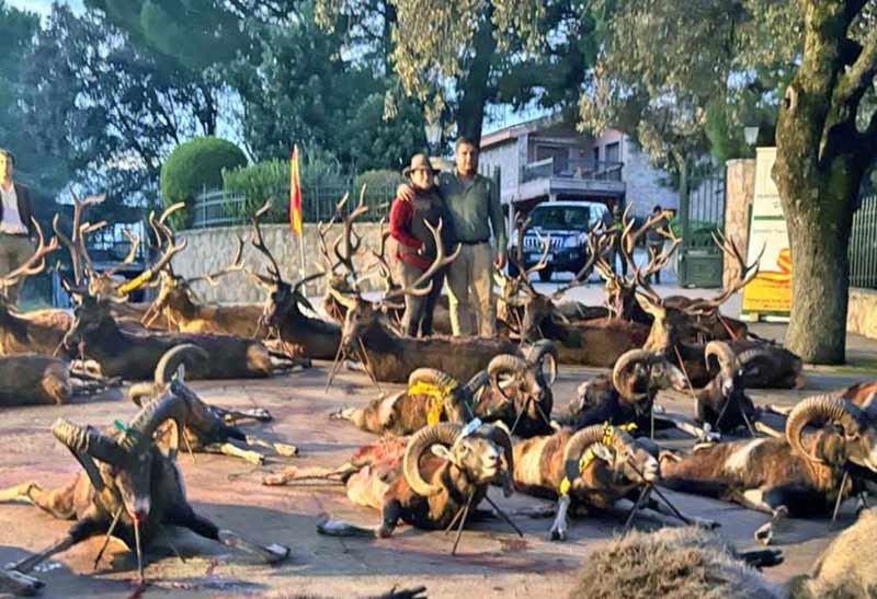 Chaqueta Caza Blaser