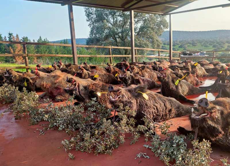 tajo de los cabreros 2024 00