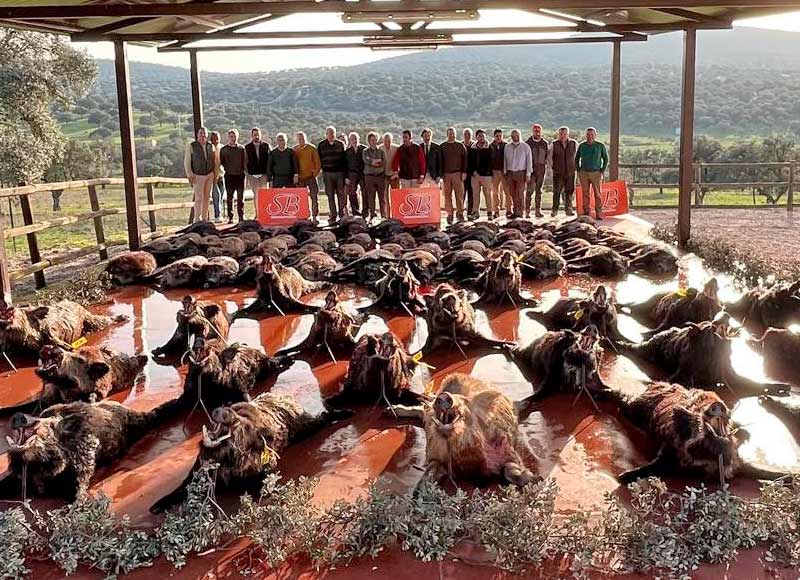 tajo de los cabreros 2024 00