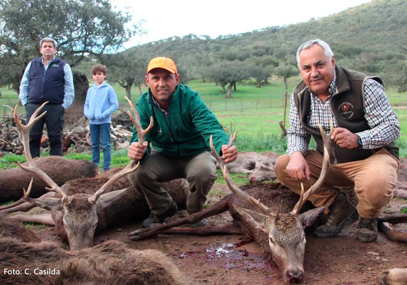Chaqueta Caza Blaser