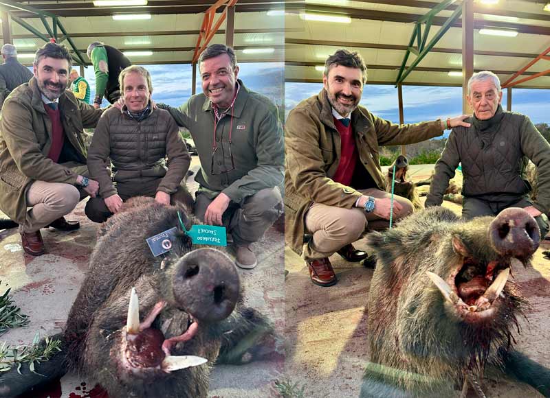 Chaqueta Caza Blaser