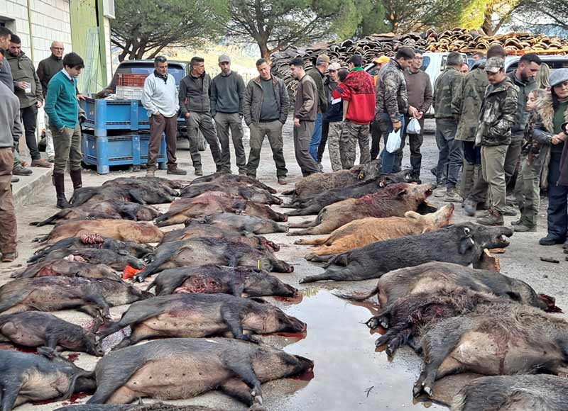 Chaqueta Caza Blaser