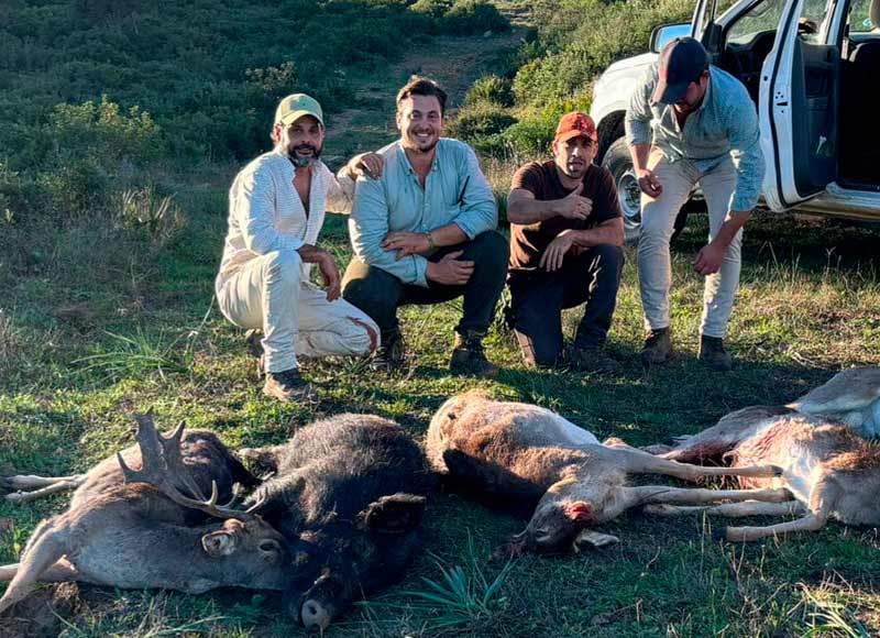 Chaqueta Caza Blaser