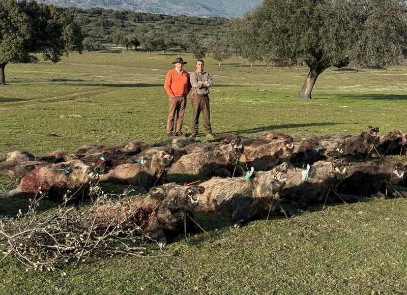 Chaqueta Caza Blaser