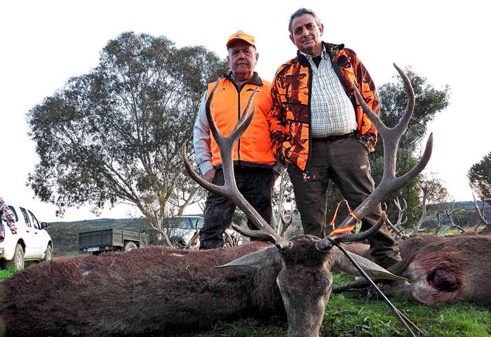 Chaqueta Caza Blaser