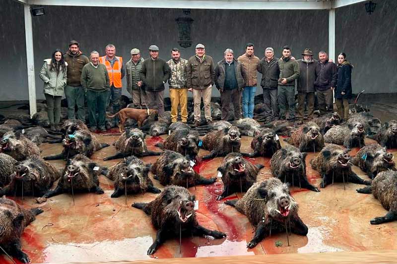 Chaqueta Caza Blaser